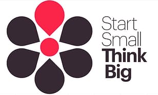Start Small Think Big